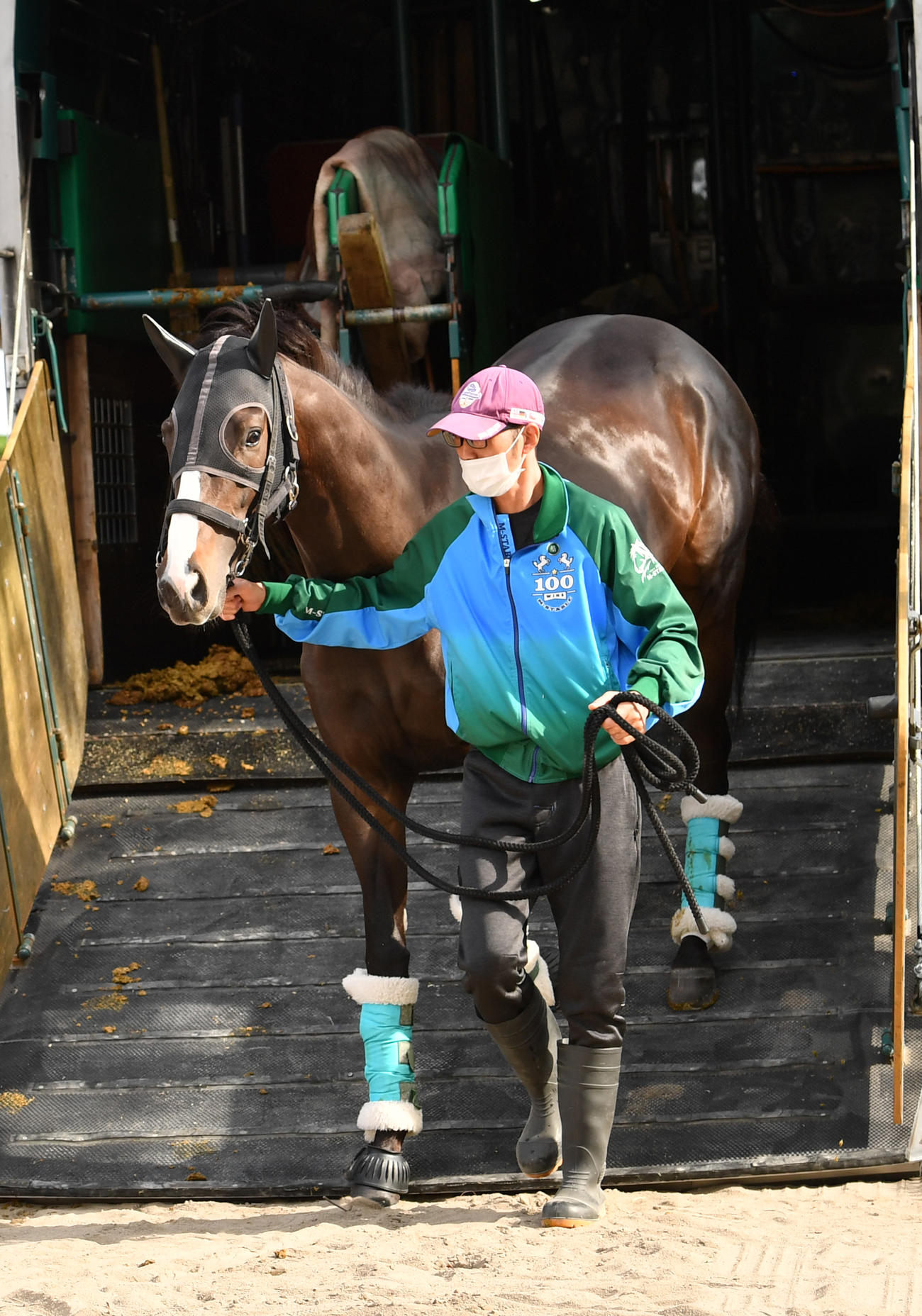 東京競馬場に到着したドゥラエレーデ（撮影・柴田隆二）