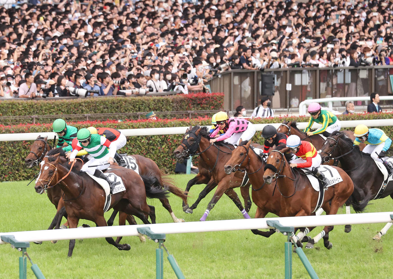ダービー8着に敗れたファントムシーフ（中央）。左は勝ったタスティエーラ