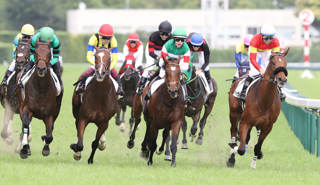 東京11R、日本ダービーを制したタスティエーラとレーン騎手（中央）（撮影・丹羽敏通）