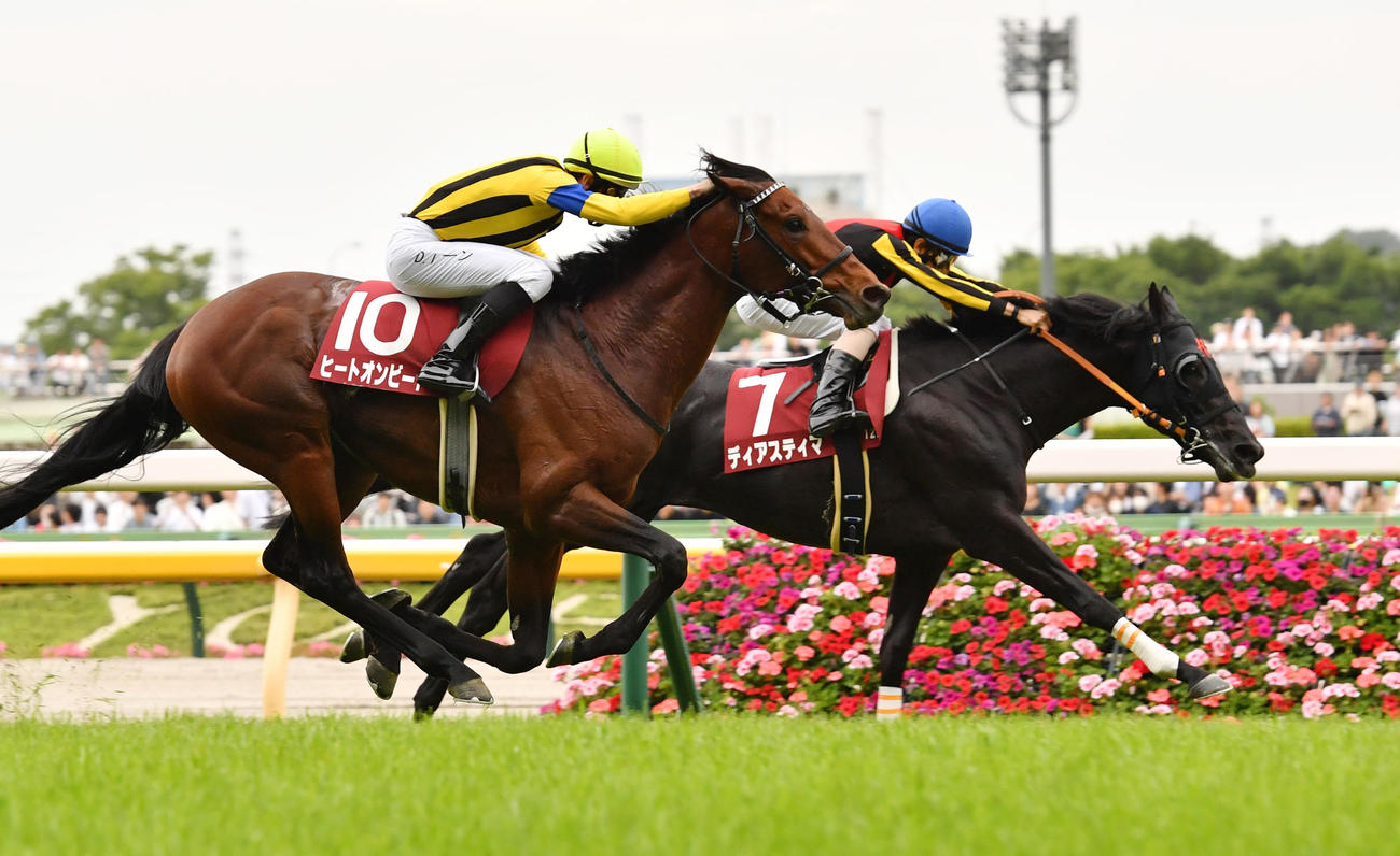 目黒記念を制したヒートオンビート（手前）、2着ディアスティマ（撮影・柴田隆二）