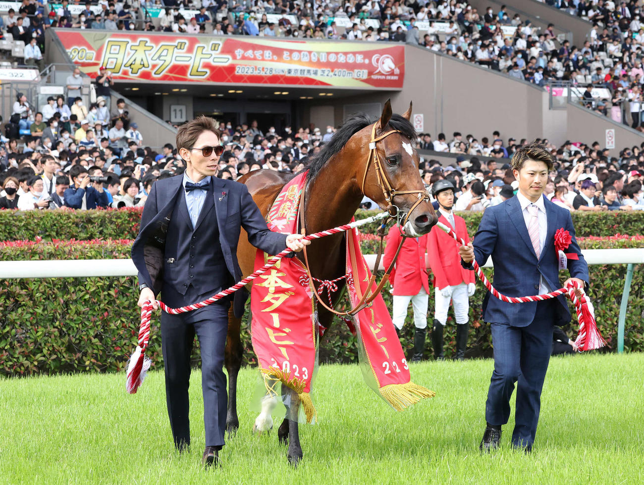 日本ダービーを制したタスティエーラ（撮影・丹羽敏通）
