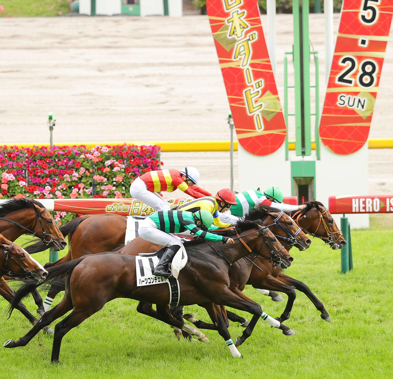 日本ダービーを制したレーン騎乗のタスティエーラ（手前から3頭目）（撮影・野上伸悟）