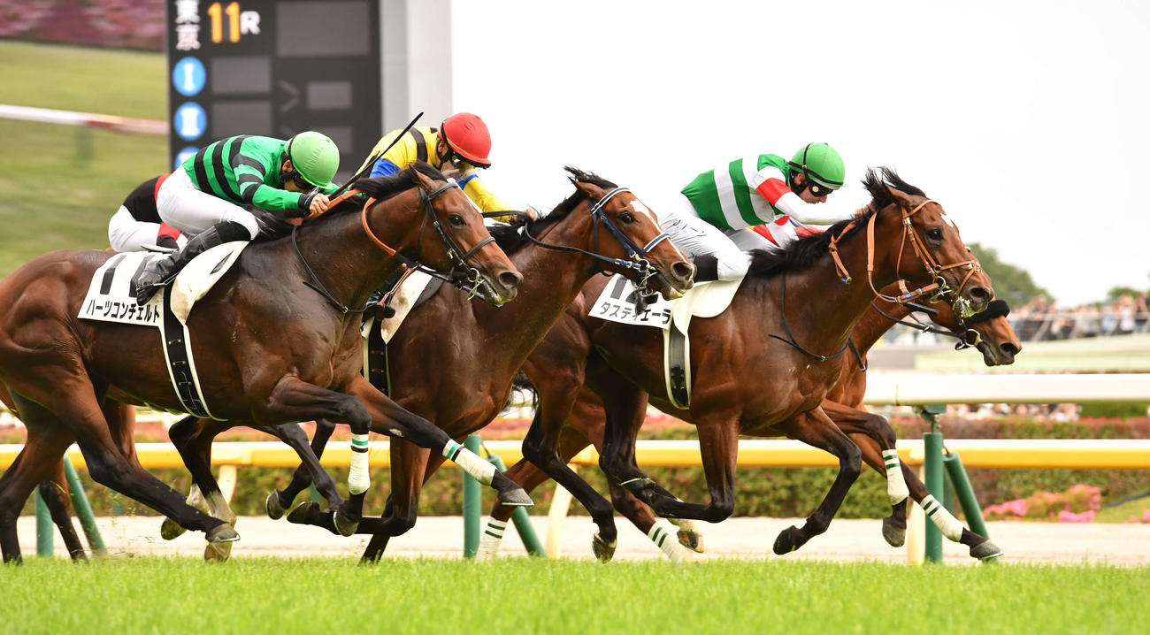 東京11R、ダービーを制したタスティエーラ（右から2頭目）、左から3着ハーツコンチェルト、2着ソールオリエンス、右端は4着ベラジオオペラ（撮影・柴田隆二）