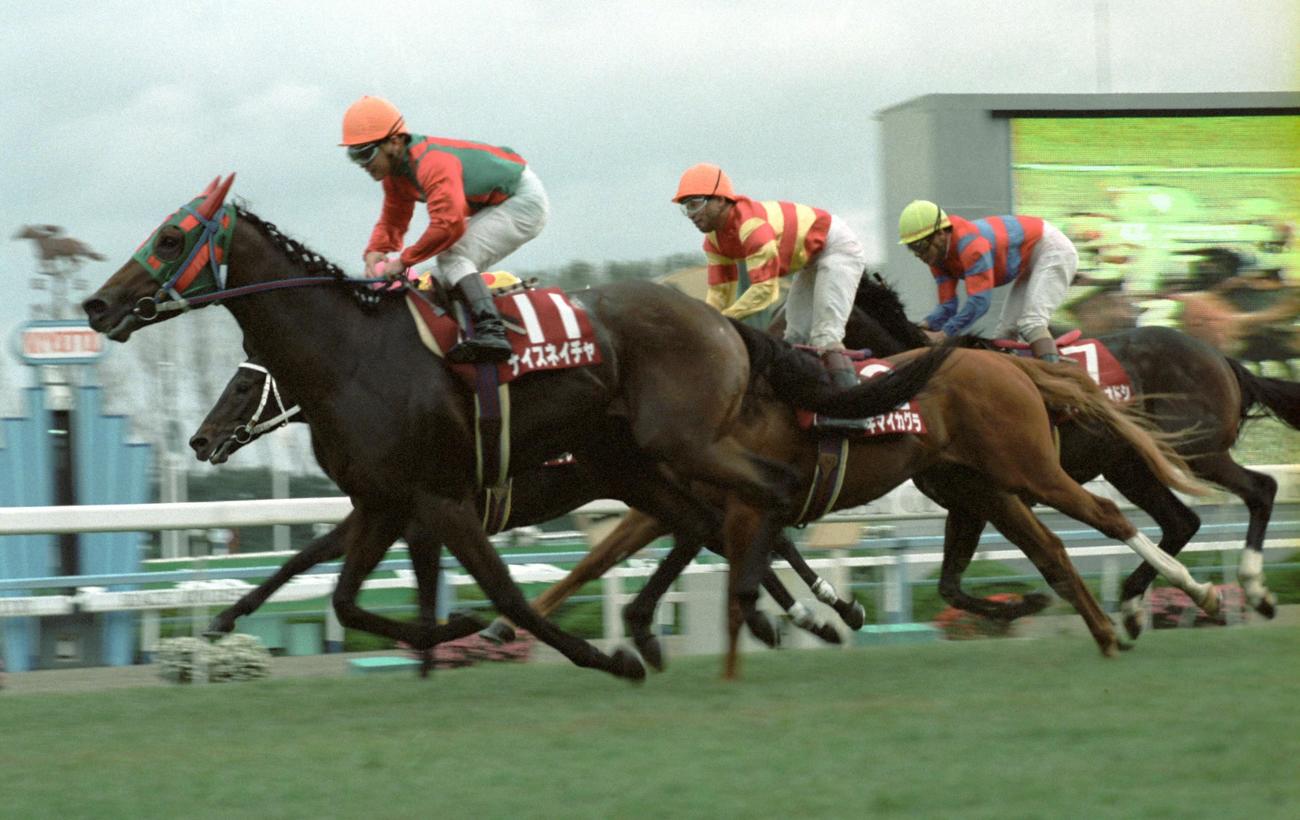 京都新聞杯で1着のナイスネイチャと松永昌博騎手（1991年10月13日撮影）