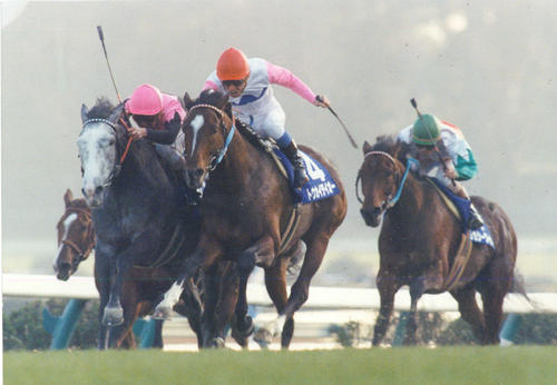 トウカイテイオー 有馬記念 1993年12月25日 ニッカン出走表 ホビー 