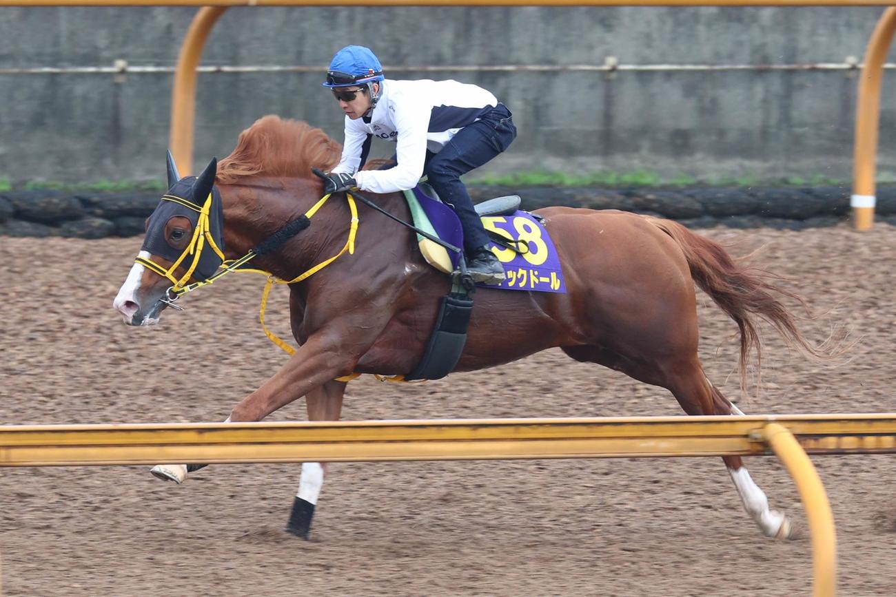 武豊が騎乗し、低重心でCWコースを駆け抜けるジャックドール