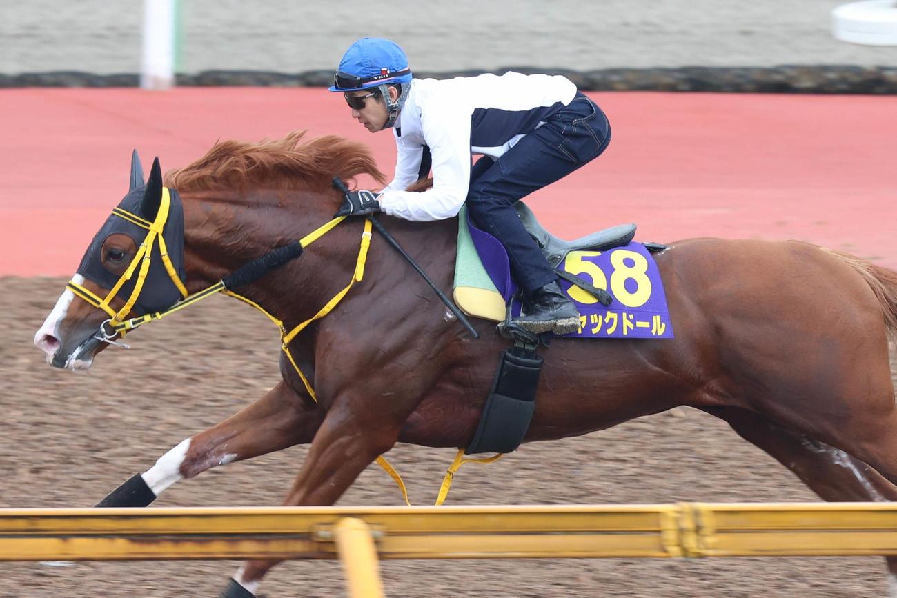 武豊が騎乗し、リズム良くCWコースを駆け抜けるジャックドール