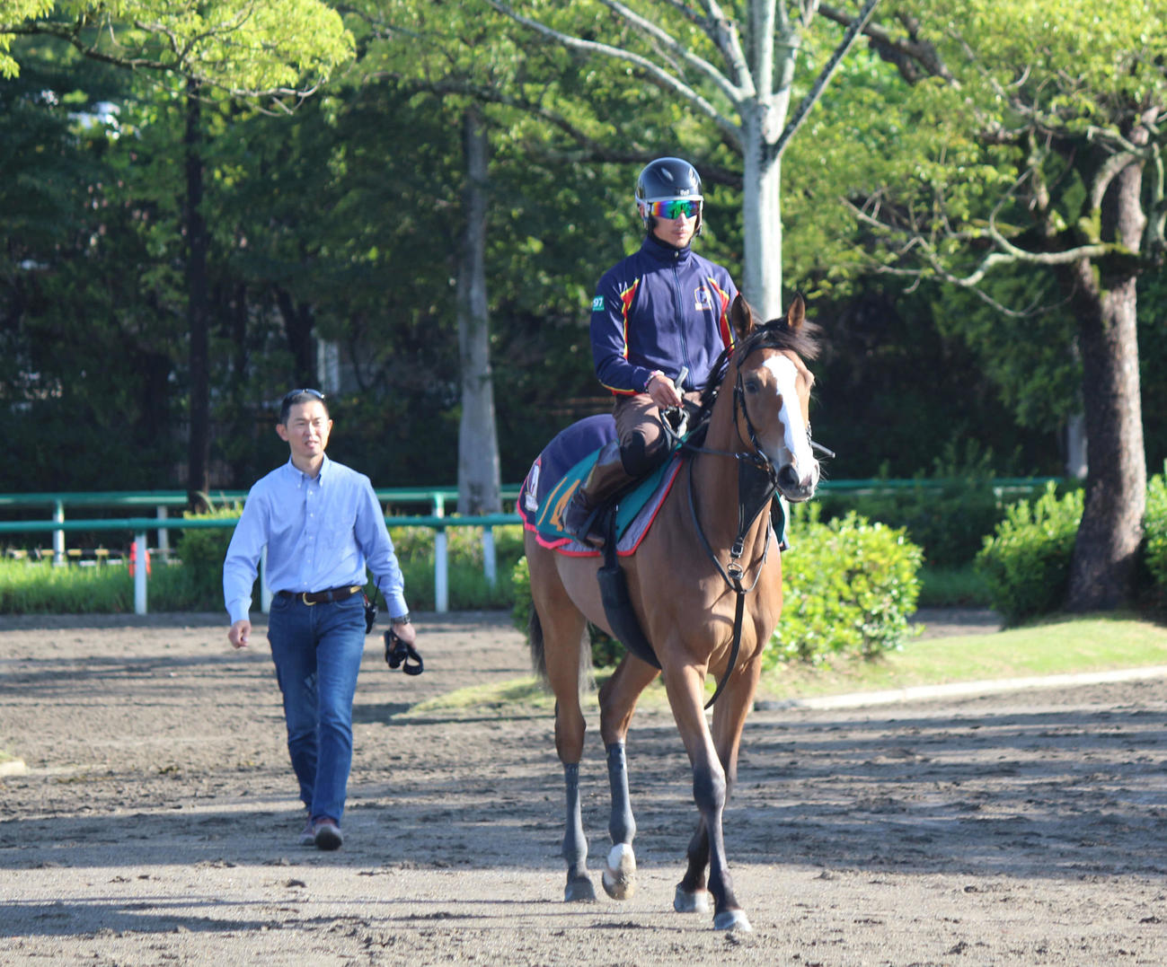 東京開幕週でデビューする木村厩舎のチェルヴィニア