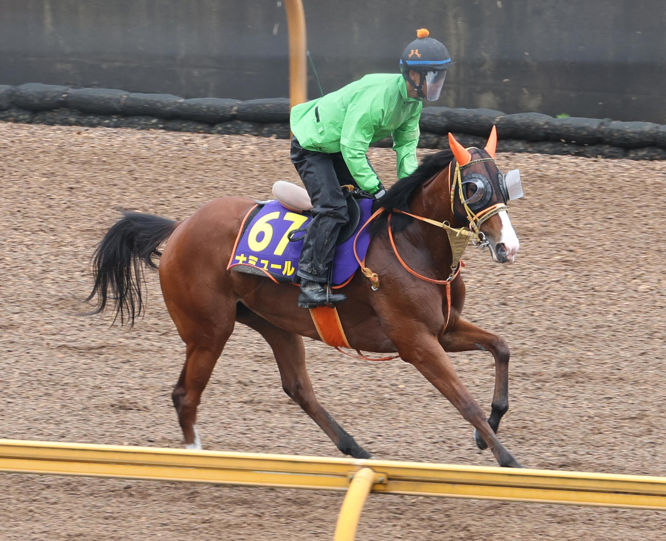 CWコースで調整されるナミュール