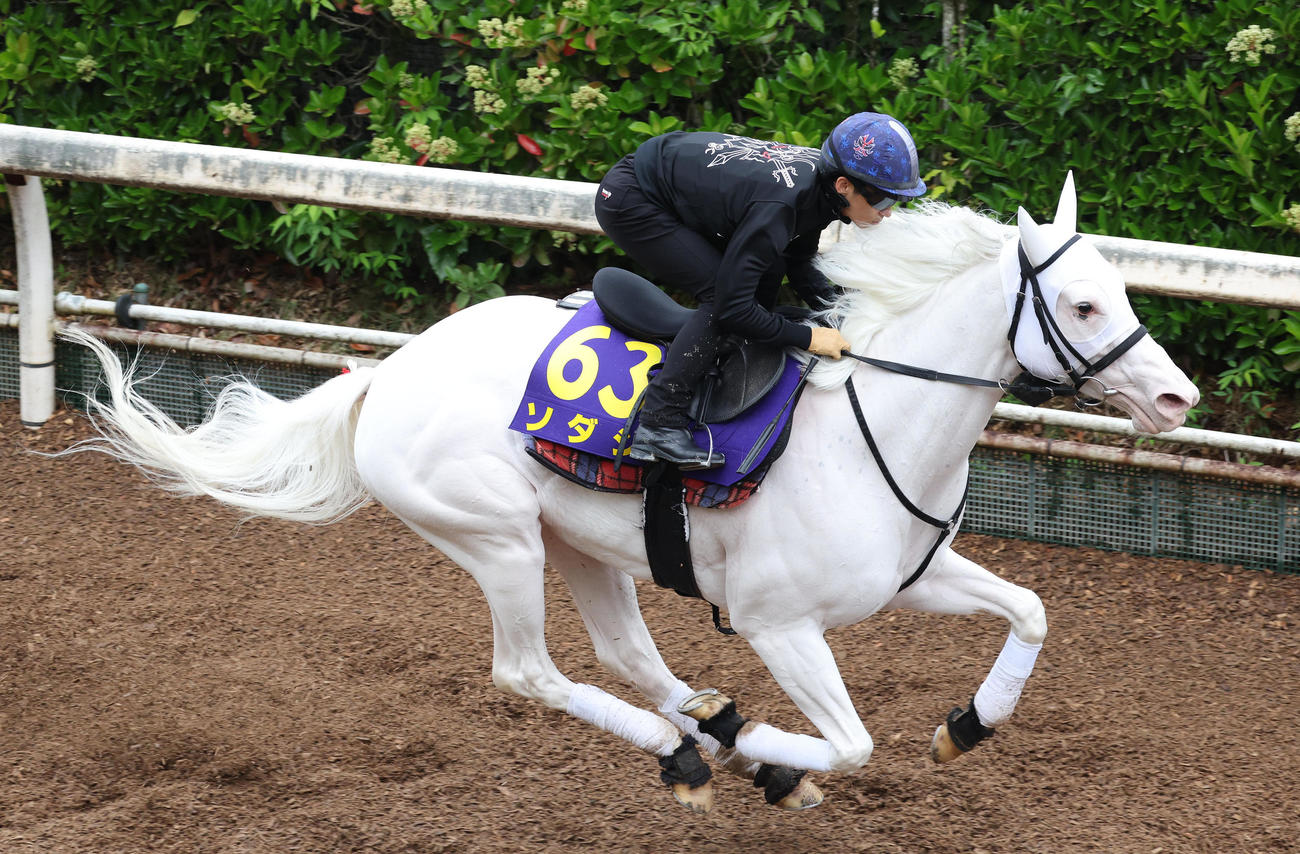 川田騎手を背に坂路を単走で追い切るソダシ（撮影・白石智彦）