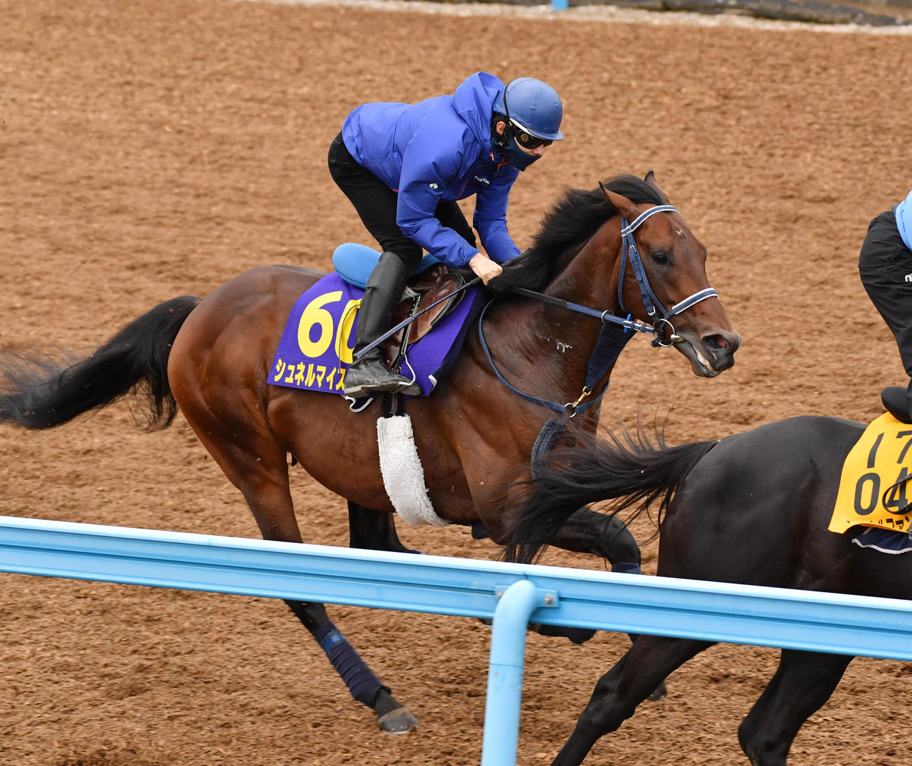 シュネルマイスターはマイネルファンロンと併せて追い切る（撮影・柴田隆二）