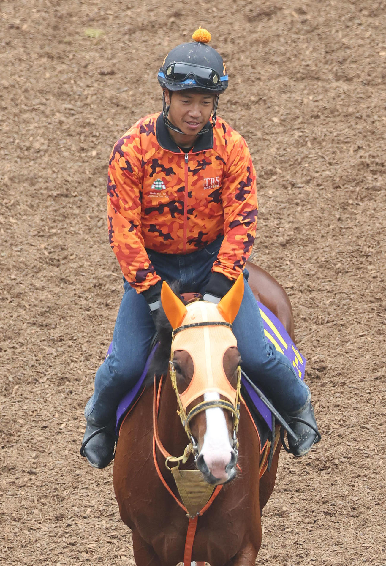 逍遥馬道で運動するナミュール（撮影・白石智彦）