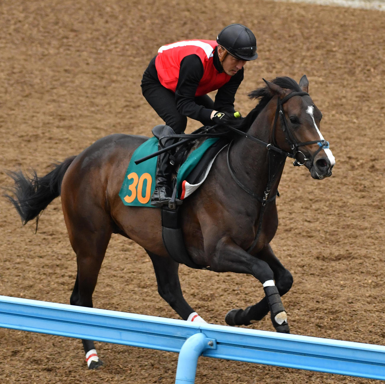 追い切りするバスターコール（撮影・柴田隆二）