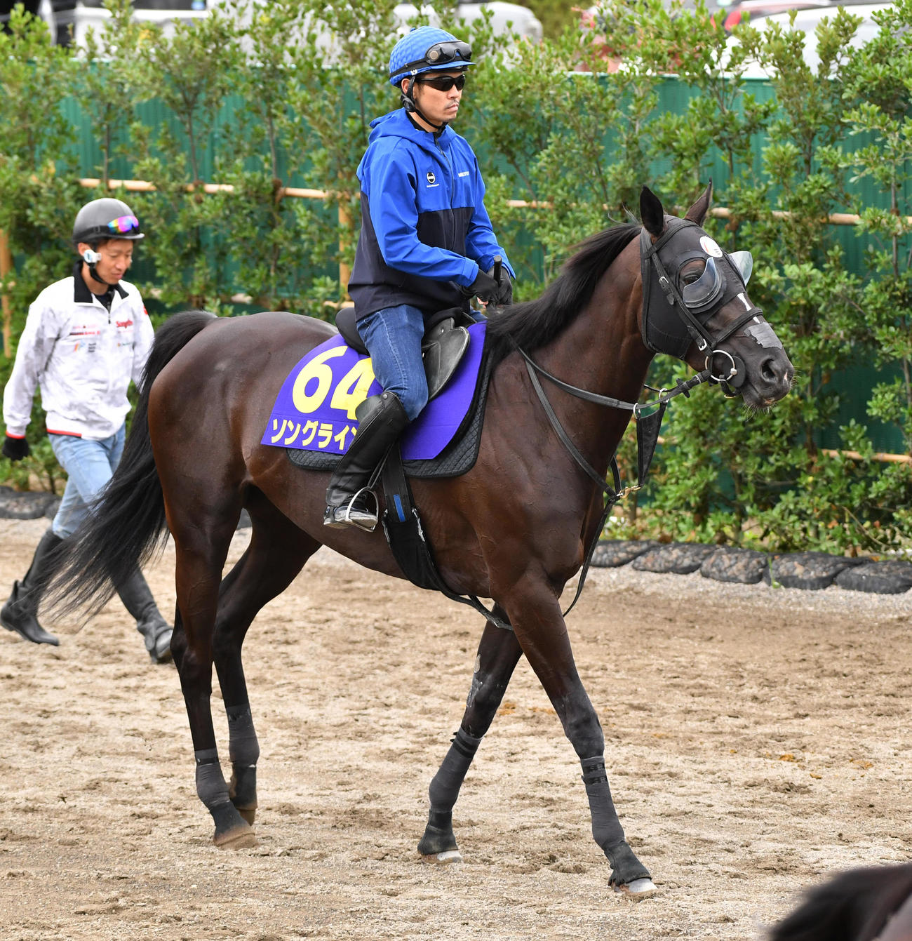 戸崎騎手を背に追い切りに向かうソングライン（撮影・柴田隆二）