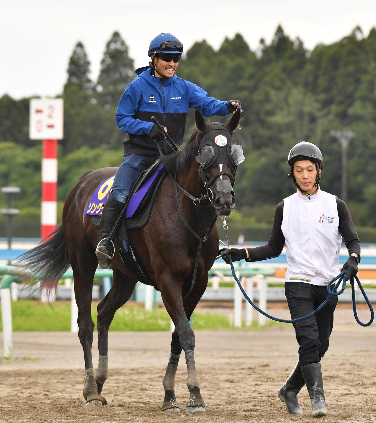 追い切りを終えたソングラインと戸崎騎手（撮影・柴田隆二）