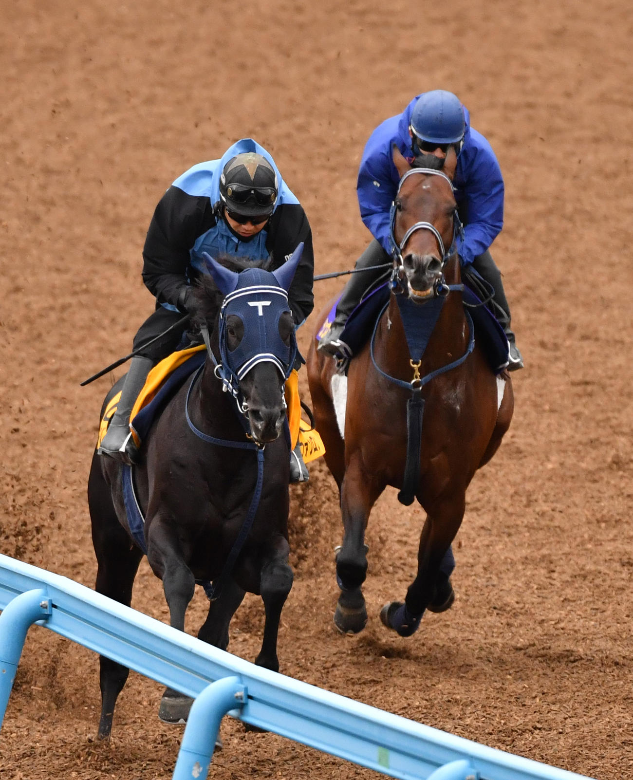 シュネルマイスター（右）はマイネルファンロンと併せて追い切る（撮影・柴田隆二）