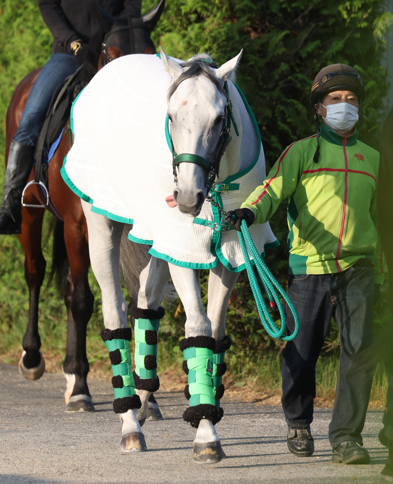 厩舎周りで運動を行うガイアフォース