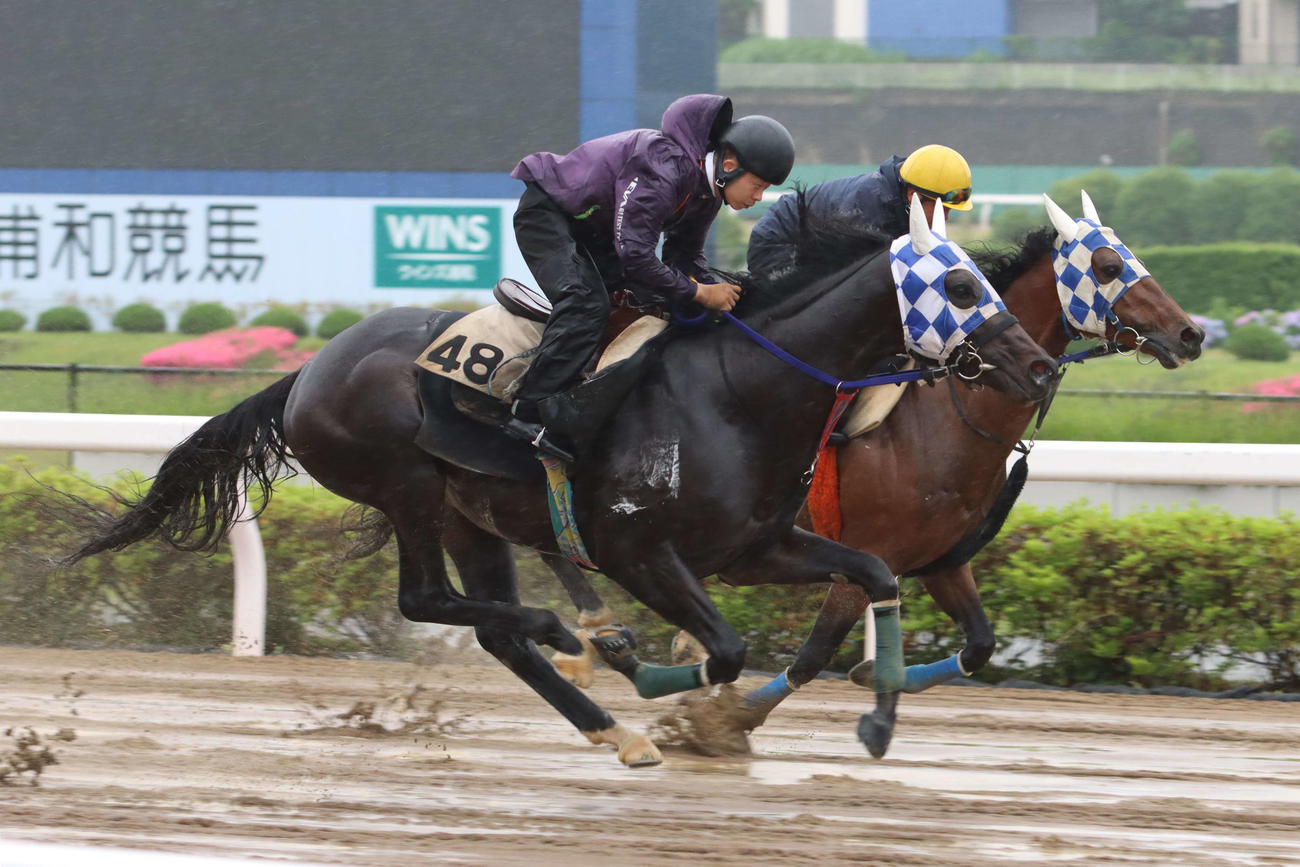 トーセンレビュー（右）と併せ馬で追い切るヒーローコール