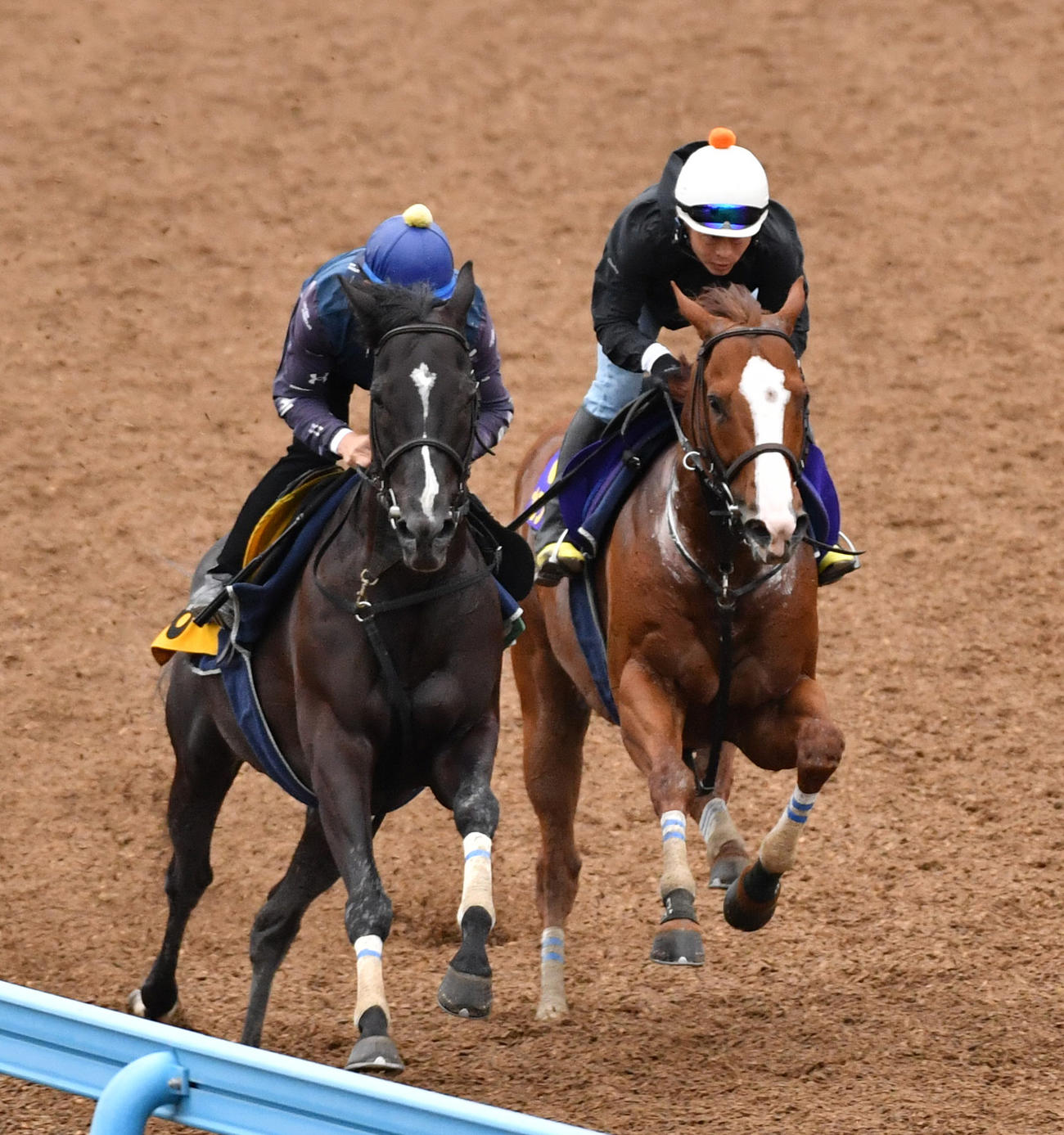 ナランフレグ（右）はアースブレイブと併せて追い切った（2023年5月31日撮影）