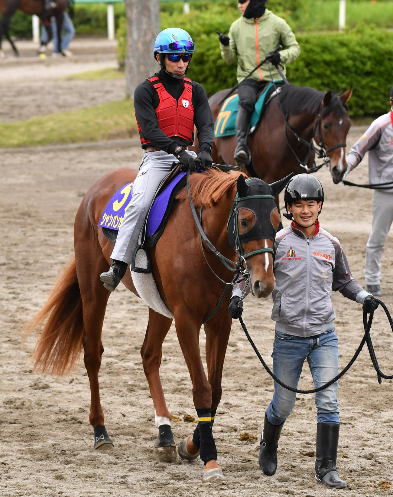 内田博騎手を背に追い切りに向かうシャンパンカラー（2023年5月31日撮影）