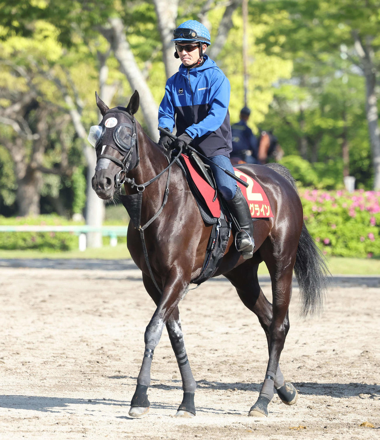 ソングライン（23年5月撮影）