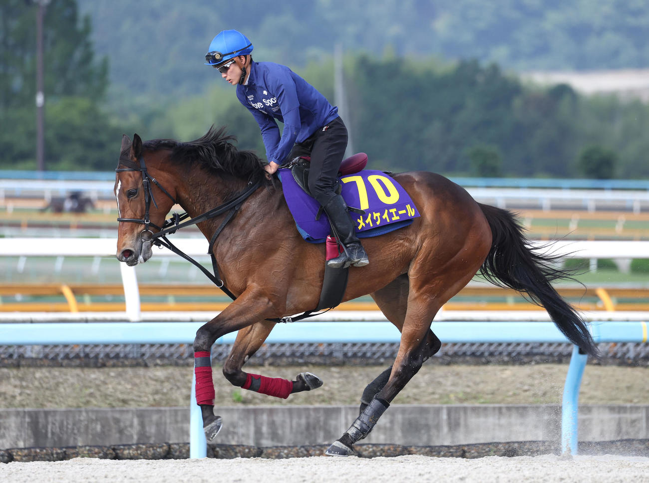 メイケイエール（2023年6月1日撮影）
