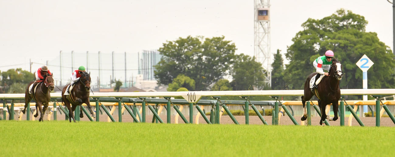 東京5R、2着ショウナンマントルに9馬身の差をつけて新馬戦を制したシュトラウス（右）