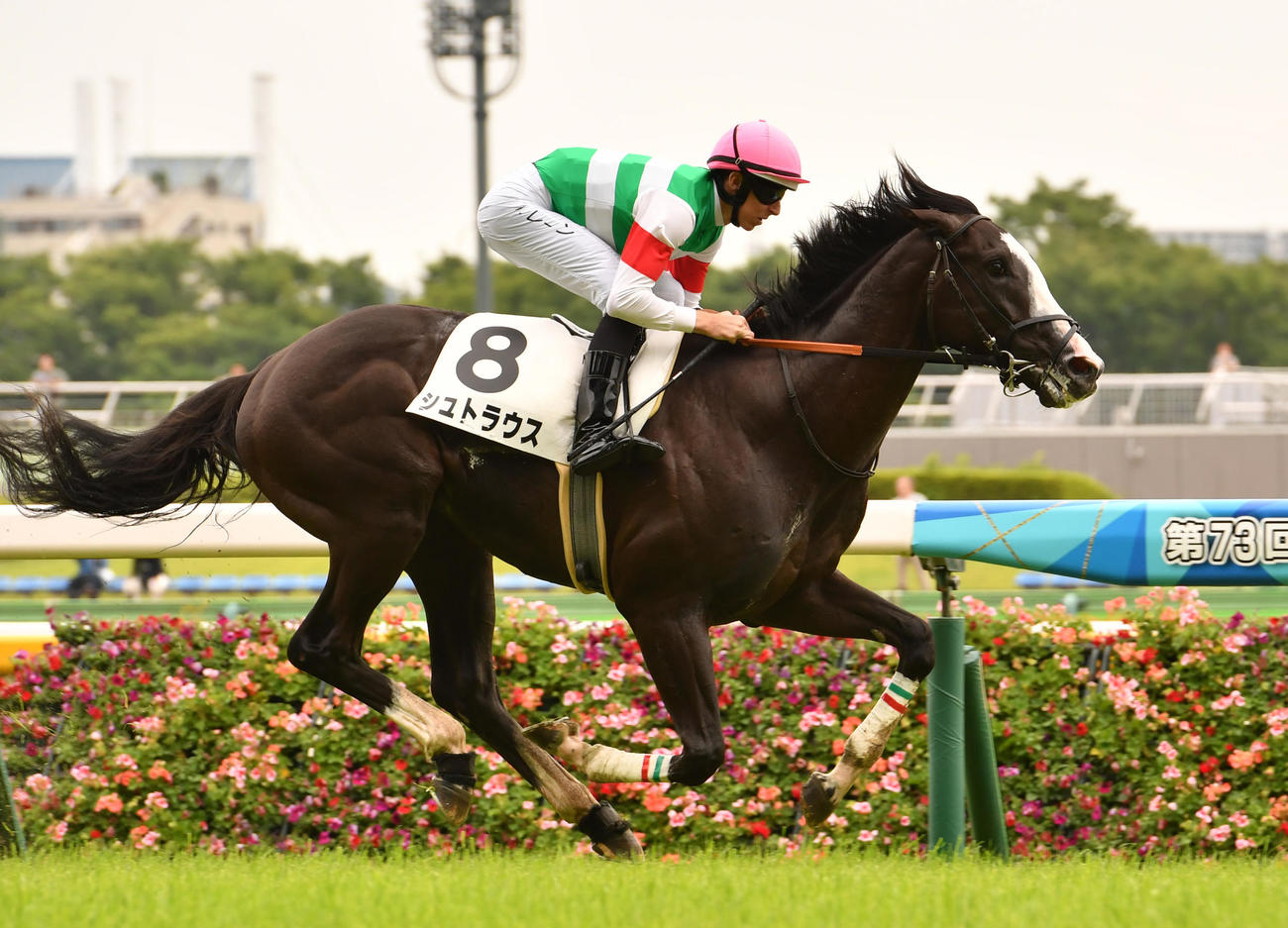 東京5R、9馬身の差をつけて新馬戦を制したシュトラウスとレーン騎手（撮影・柴田隆二）