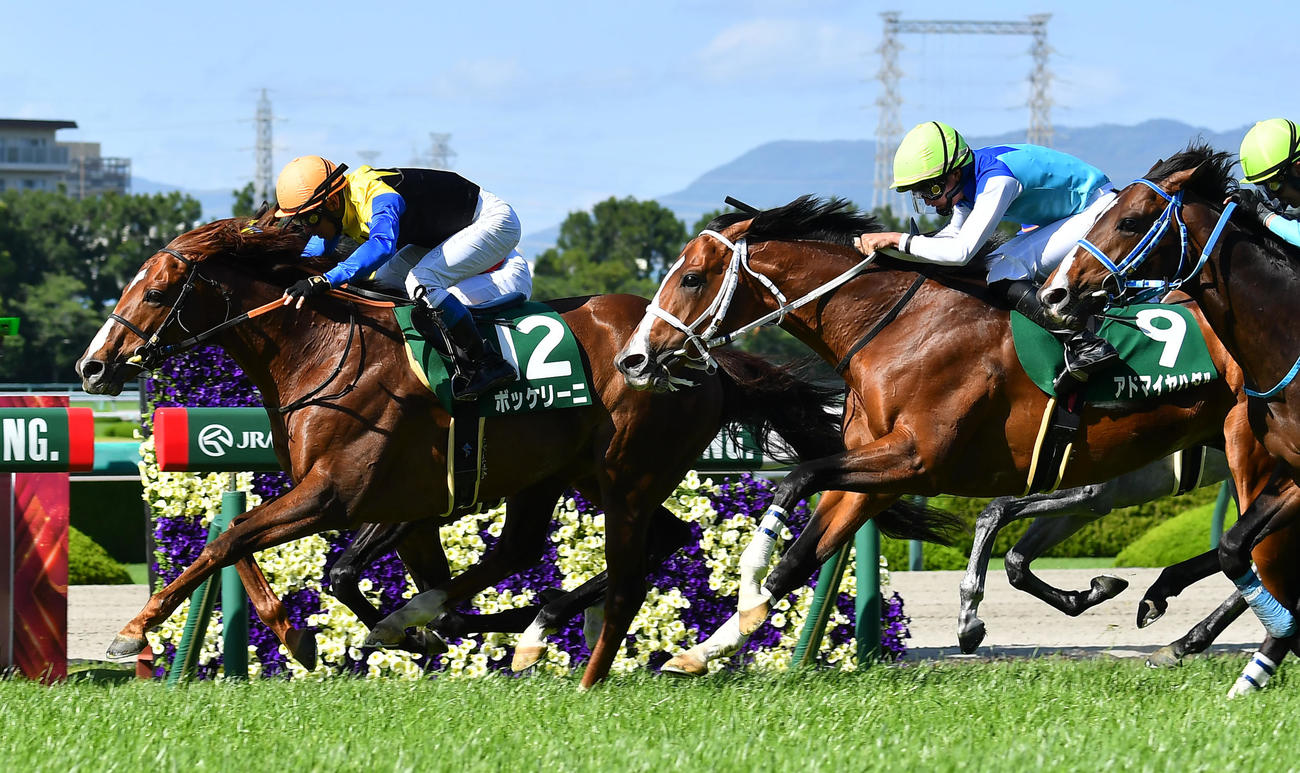 阪神11R　鳴尾記念を制した浜中騎乗のボッケリーニ（左）（撮影・清水貴仁）