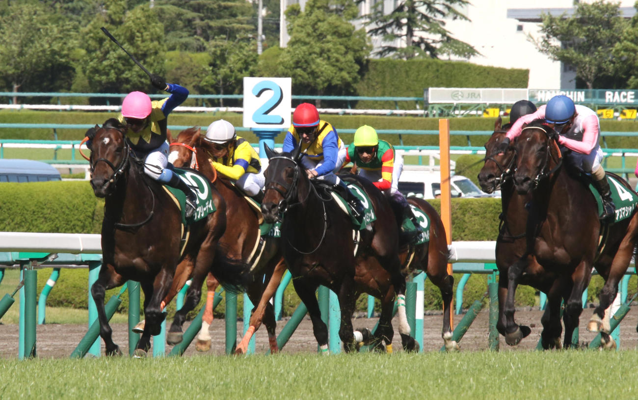 15年鳴尾記念を快勝したラブリーデイ（左端）