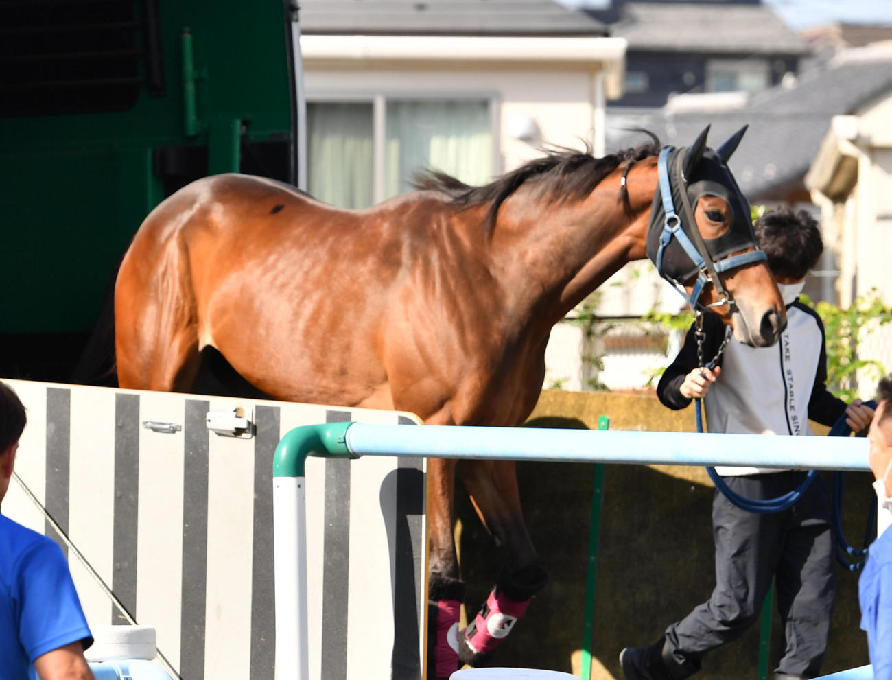 東京競馬場に到着したメイケイエール（撮影・柴田隆二）