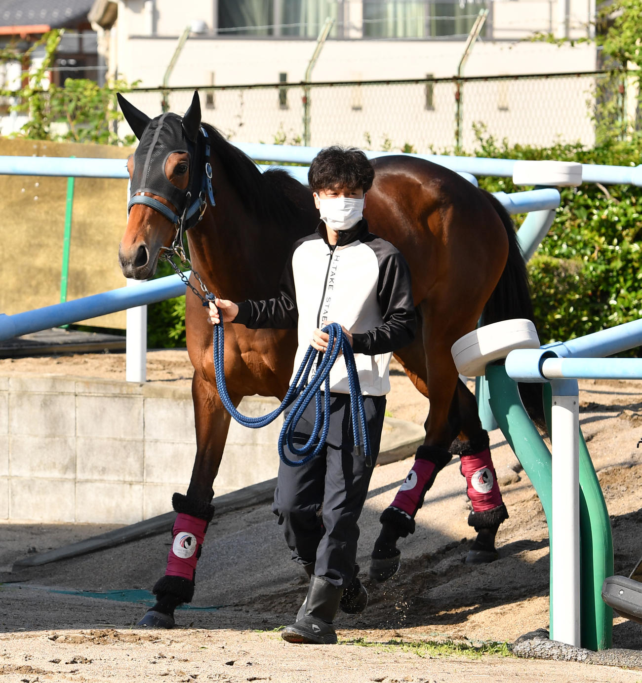 東京競馬場に到着したメイケイエール（撮影・柴田隆二）
