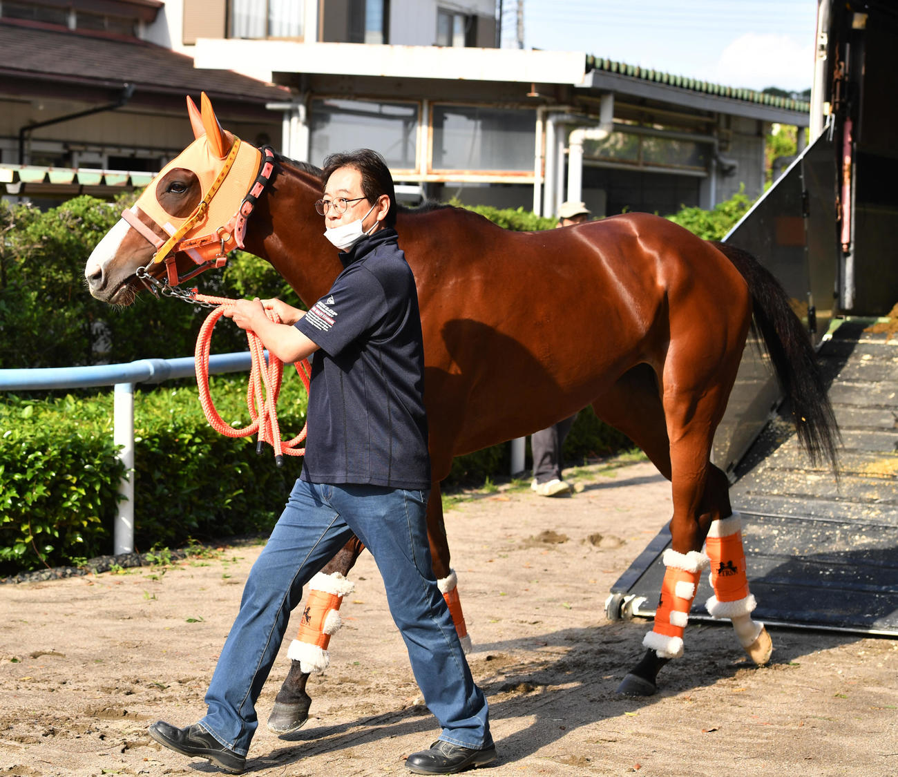 東京競馬場に到着したナミュール（撮影・柴田隆二）
