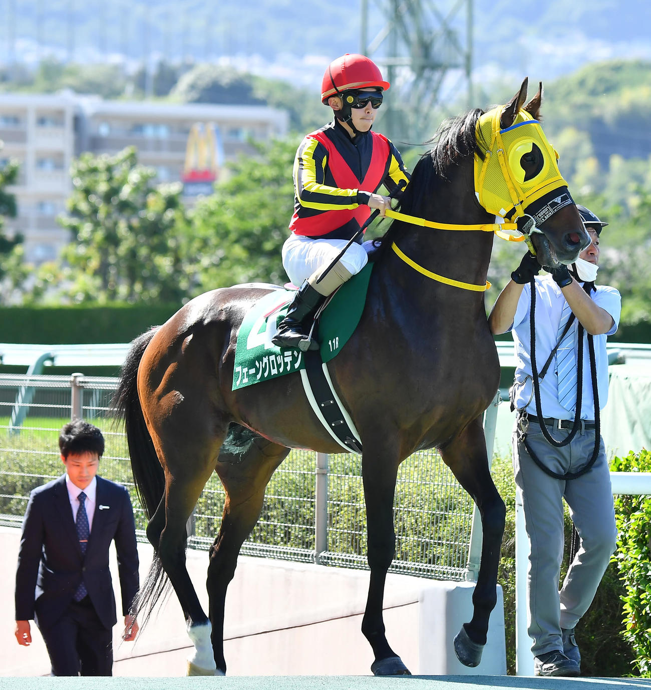 鳴尾記念で2着だったフェーングロッテン（撮影・清水貴仁）