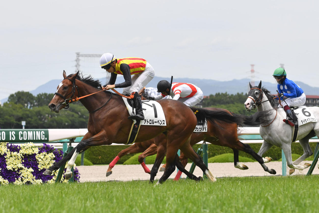 新馬戦を制したアトロルーベンス（撮影・滝沢美穂子）