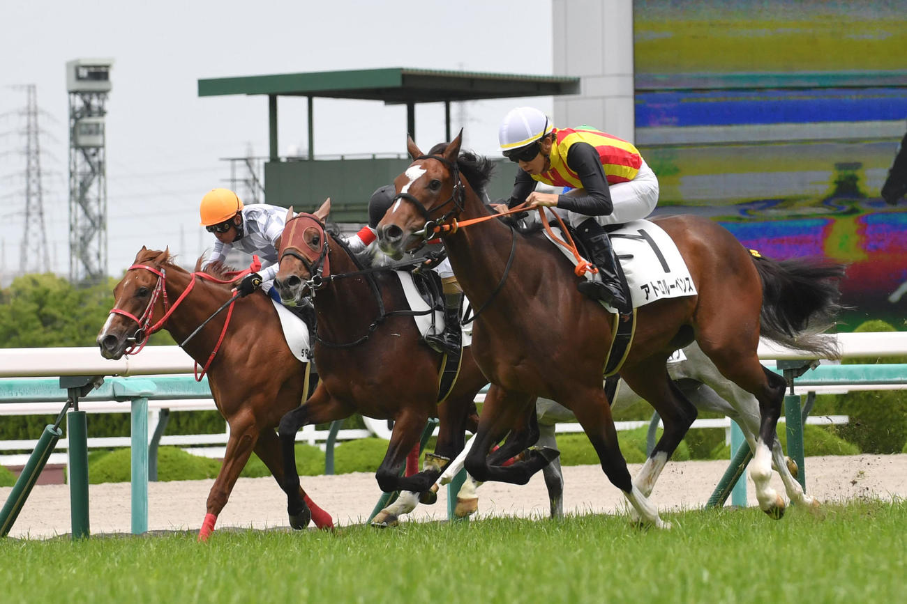 阪神の新馬戦に1着でゴールしたアトロルーベンス（手前）（撮影・滝沢美穂子）