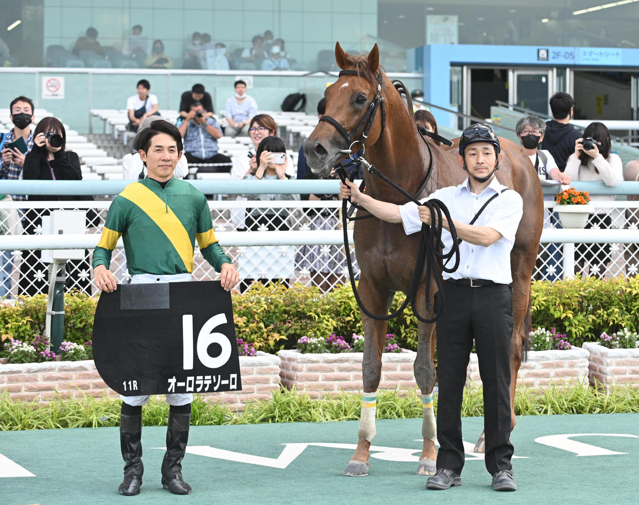 阪神競馬11R松風月ステークス　1着でゴールしたオーロラテソーロ（撮影・滝沢美穂子）