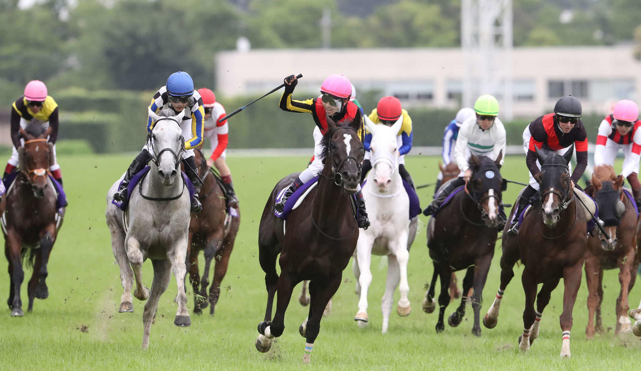 ソングライン（中央）で連覇し、ガッツポーズを決める戸崎騎手（撮影・丹羽敏通）