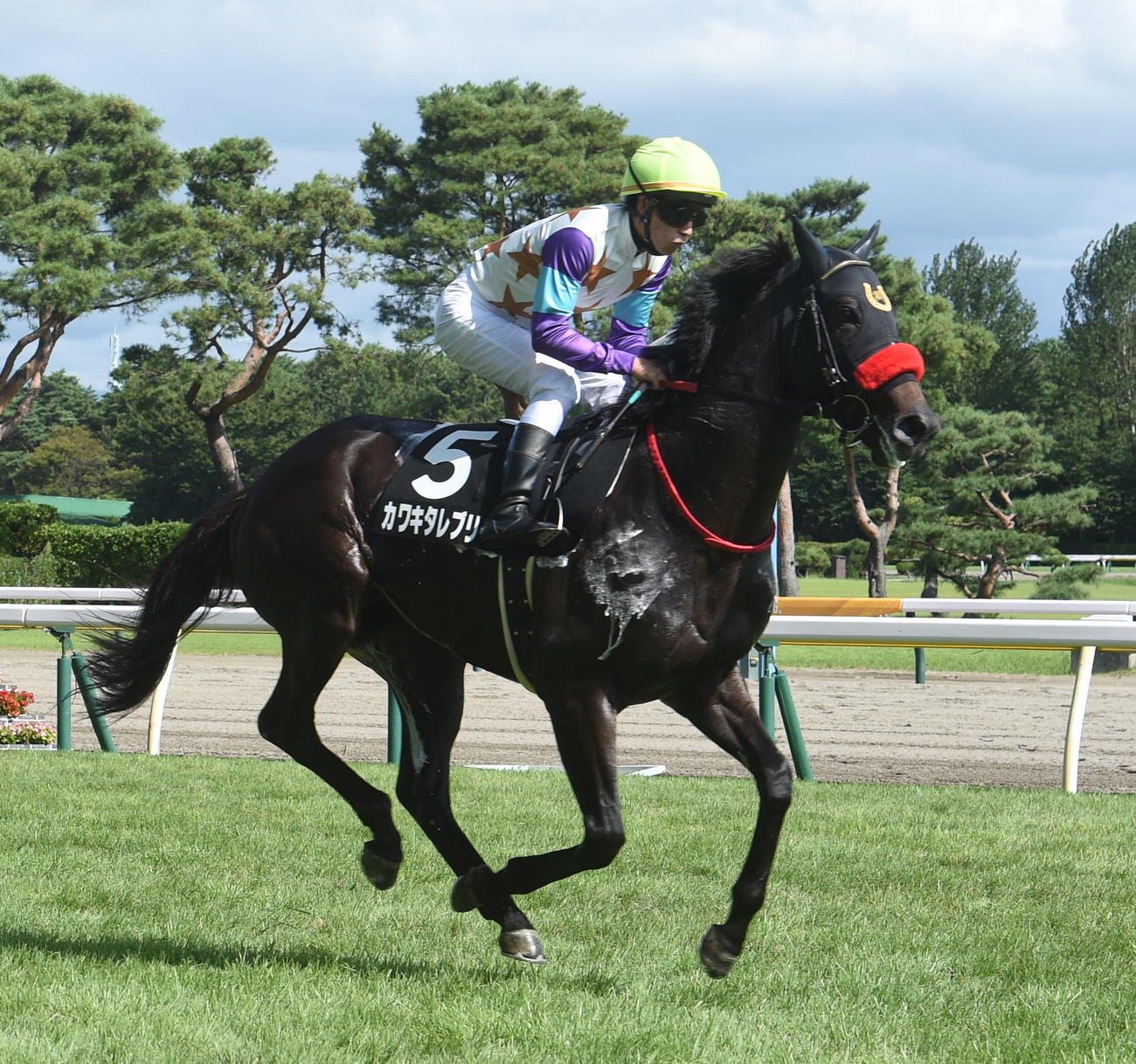 カワキタレブリー（2022年8月撮影）