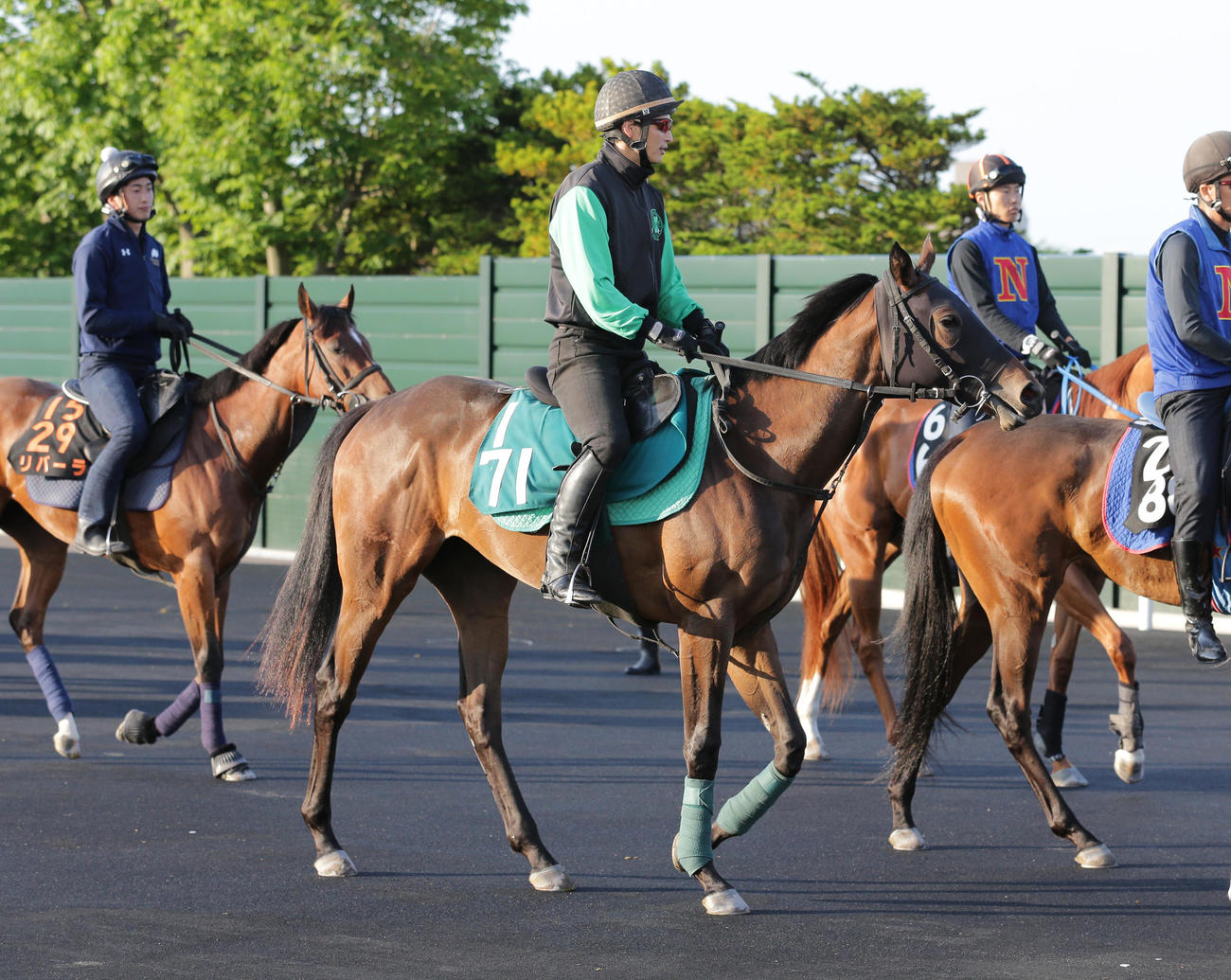 今週デビュー予定のロータスワンドは函館競馬場で調整を積む