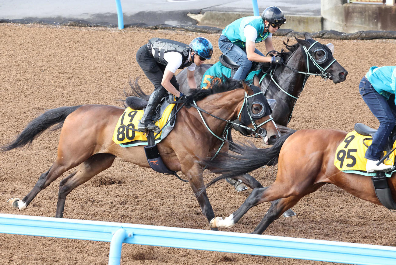 ルージュエヴァイユ（左）は石川騎手を背に美浦ウッドを3頭併せで追い切られた（撮影・丹羽敏通）