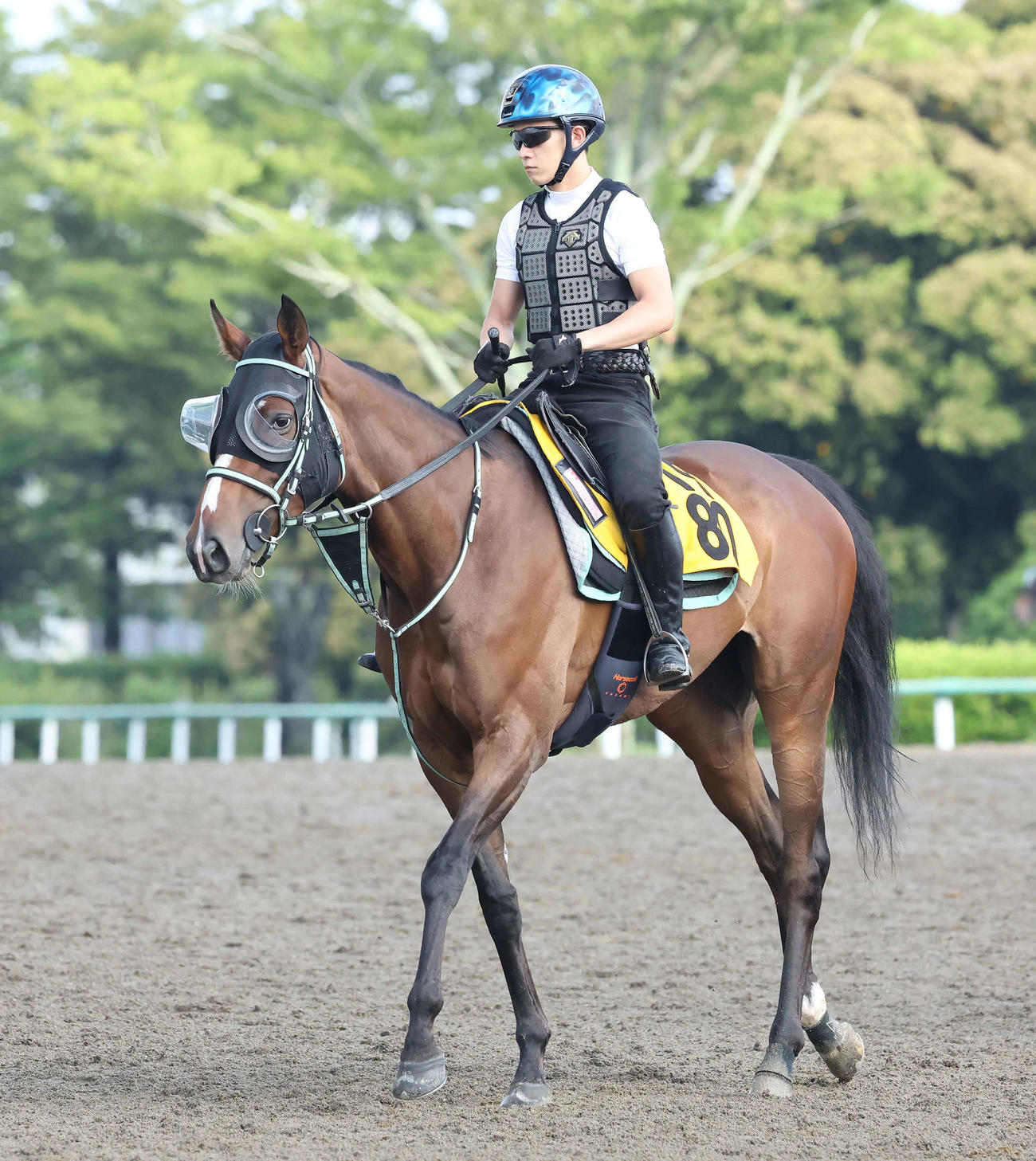 馬場へ向かうルージュエヴァイユと石川騎手（撮影・丹羽敏通）