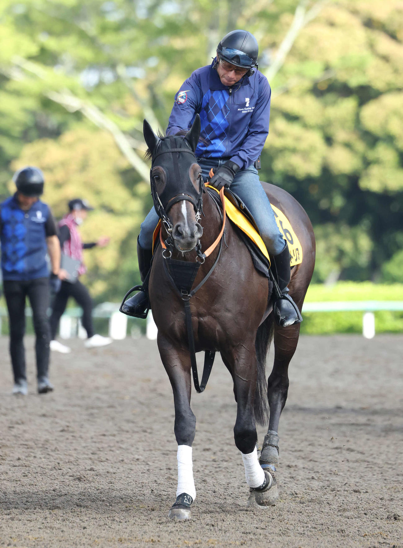 馬場へ向かうインダストリア（撮影・丹羽敏通）