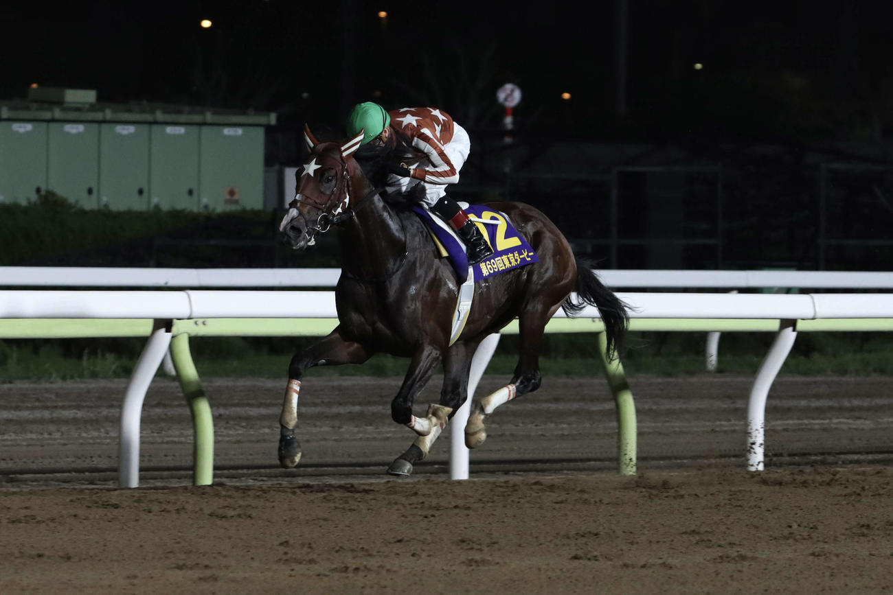 2番手から抜け出し東京ダービーを制したミックファイアと御神本訓史騎手