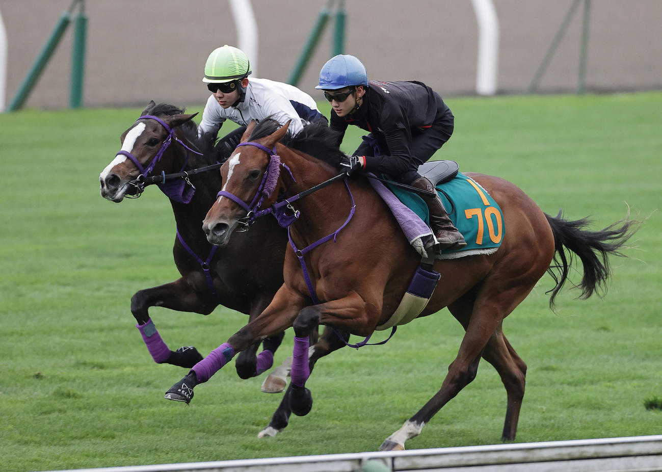 小林勝騎手を背に、函館芝コースを併せ馬で追い切られるヒポカンポ（内）