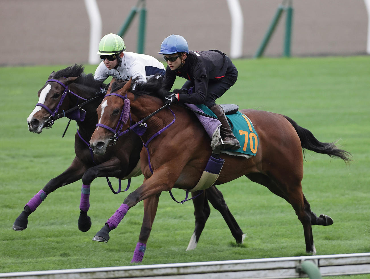 小林勝騎手を背に、函館芝コースで併せ馬で追い切られるヒポカンポ（内）