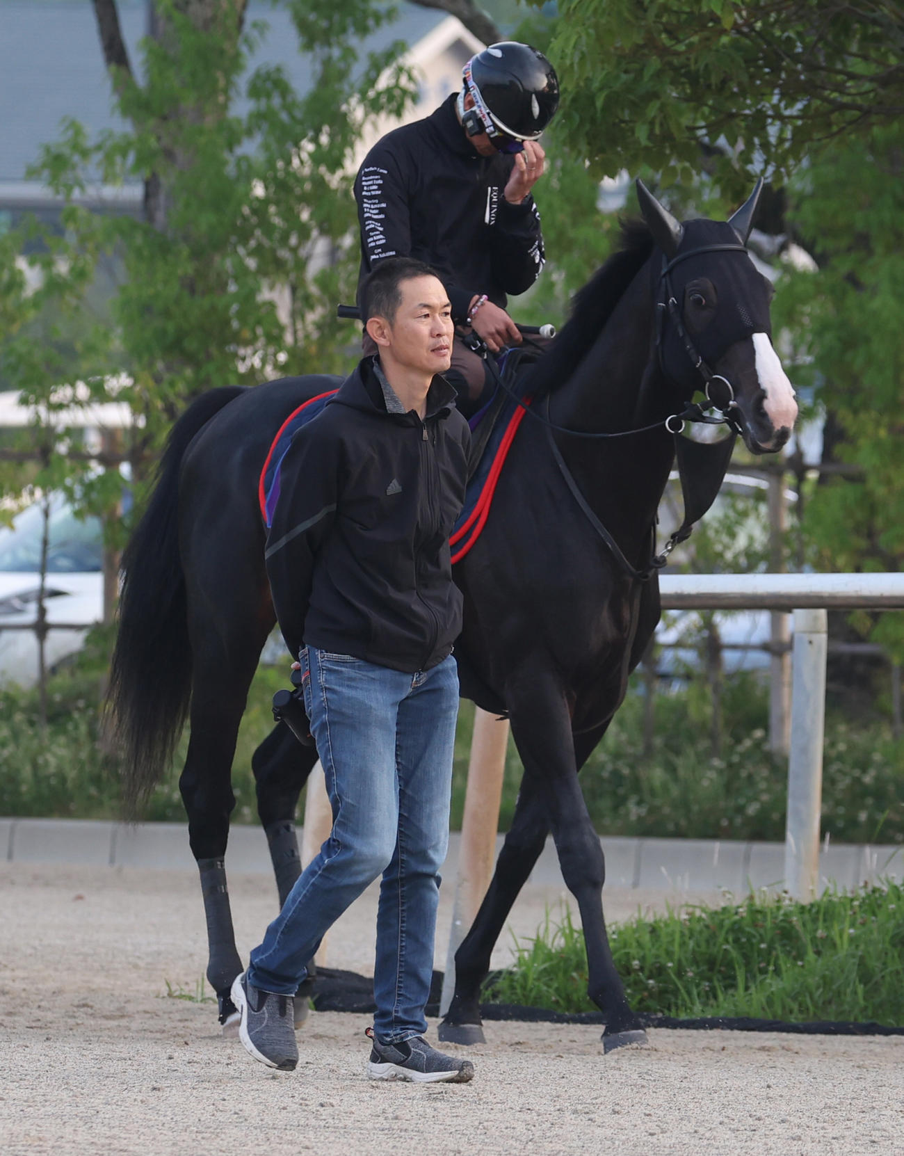 木村師とイクイノックス