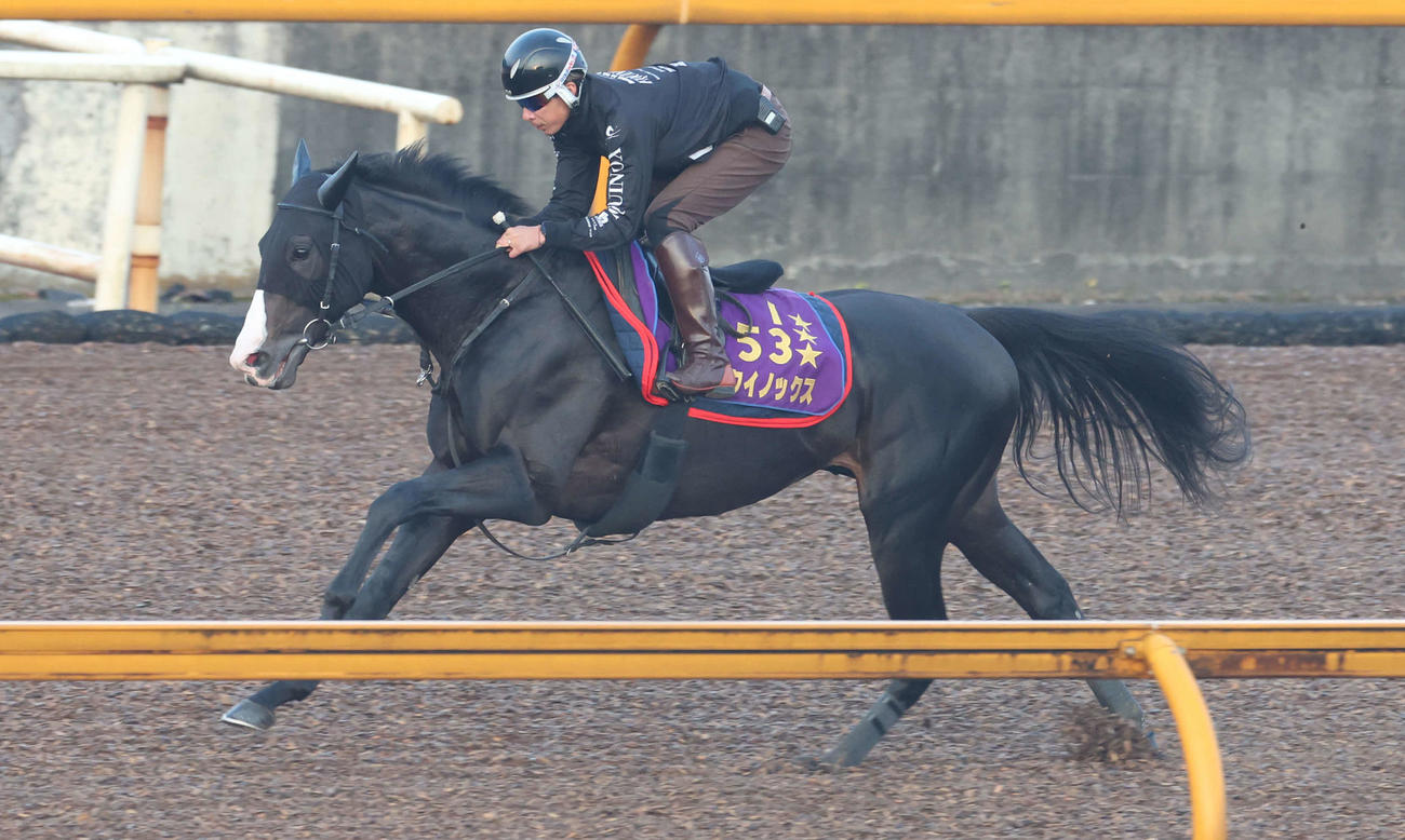 栗東トレセンCWコースで追い切るイクイノックス