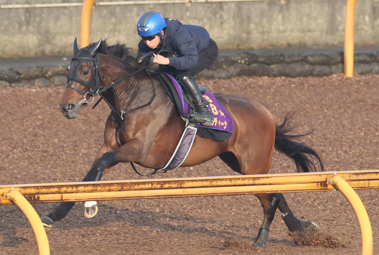 CWコースで追い切るジェラルディーナ