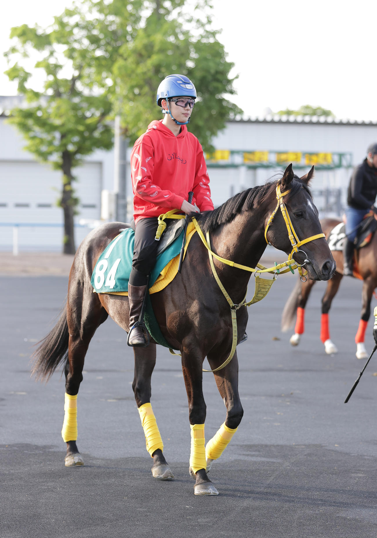 今週デビュー予定のレガテアドールは、函館競馬場で調整を積む